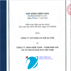 Hợp Đồng Kiểm Toán 2024