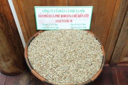 Robusta chế biến ướt sàng 18
