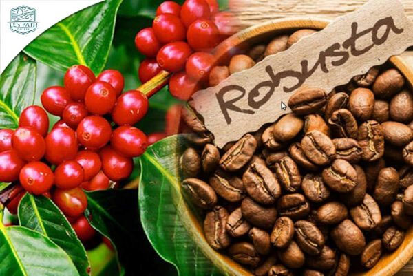 Nghệ nhân giữa đại ngàn